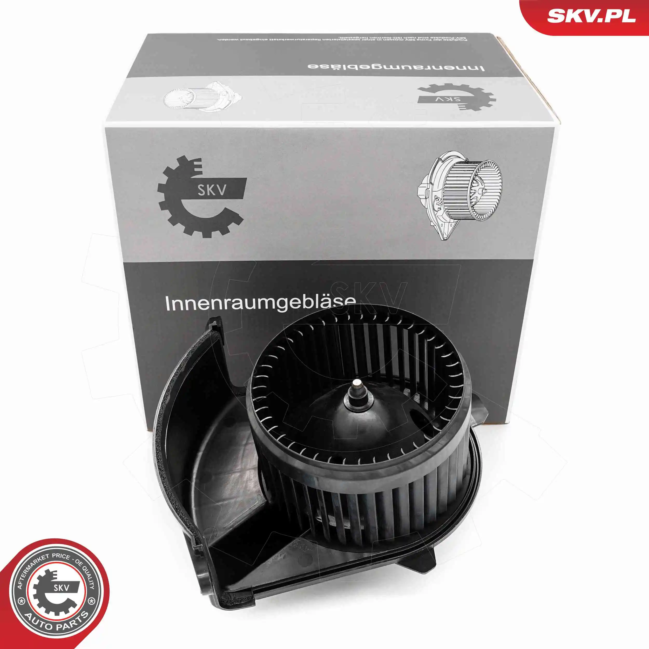 Interior Blower